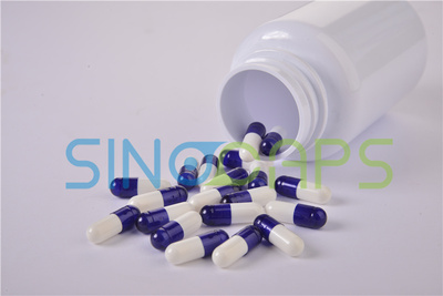 动物胶原蛋白是什么